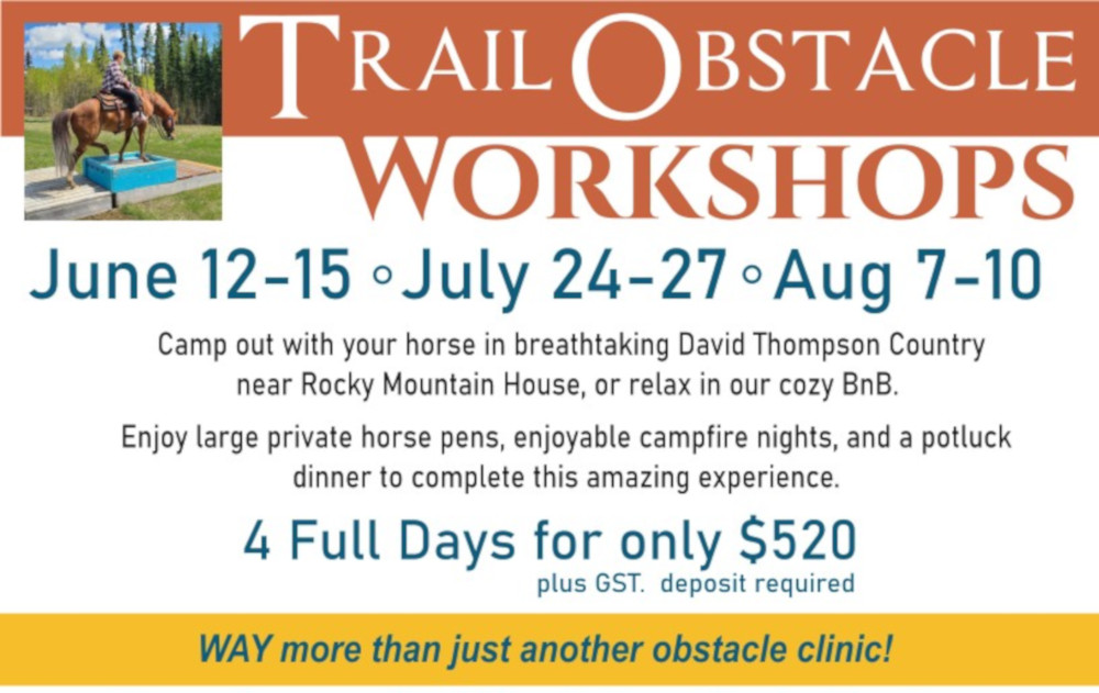 text about trail obstacle workshops
