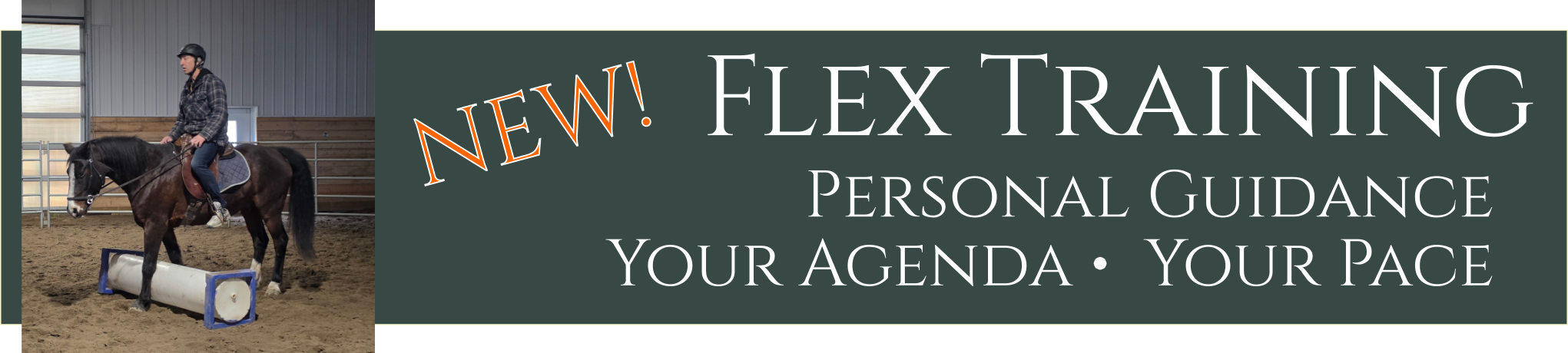 progressive workshop banner
