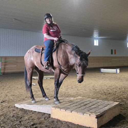 Boarded Horse