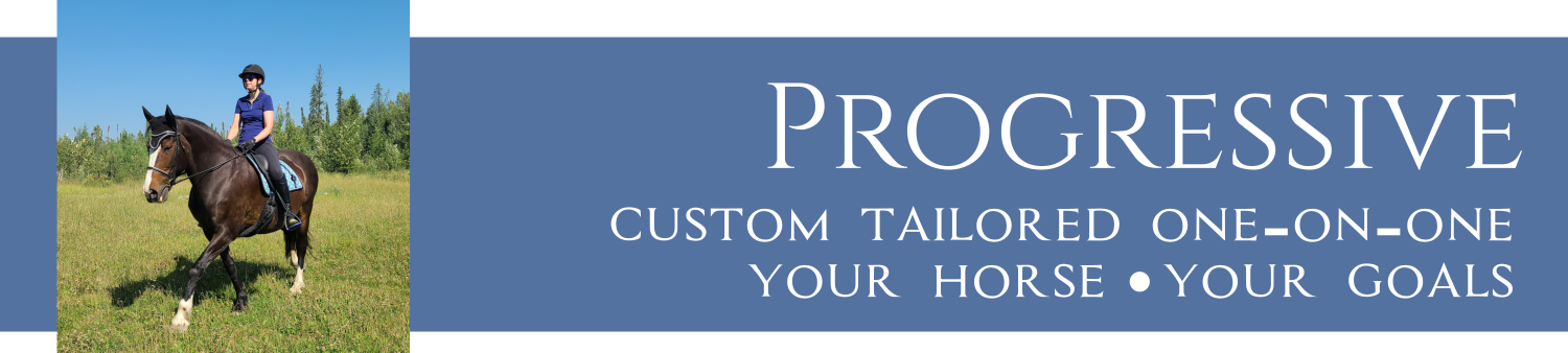 progressive workshop banner
