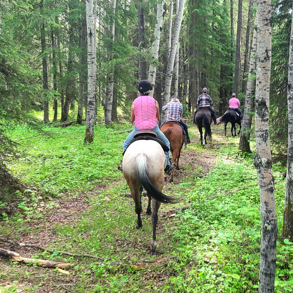 horseback riding in the forest